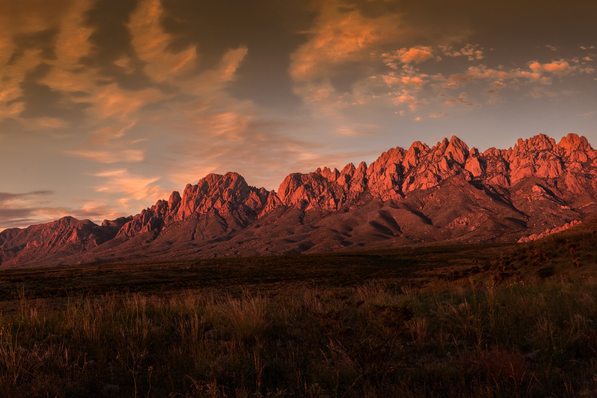 Sophie Says About Us Page Sophies Mission 1- Revised